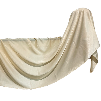 Glam Beige Velvet Hijab